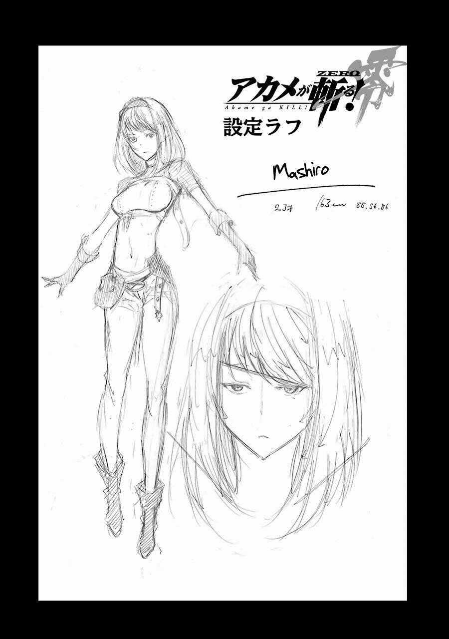 Akame Ga Kill! Zero Chapter 46 trang 31