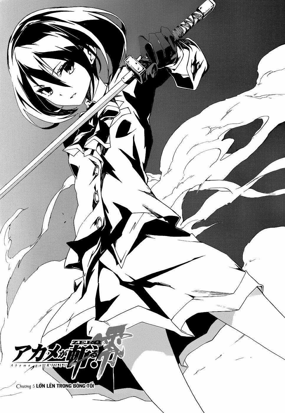 Akame Ga Kill! Zero Chapter 5 trang 2