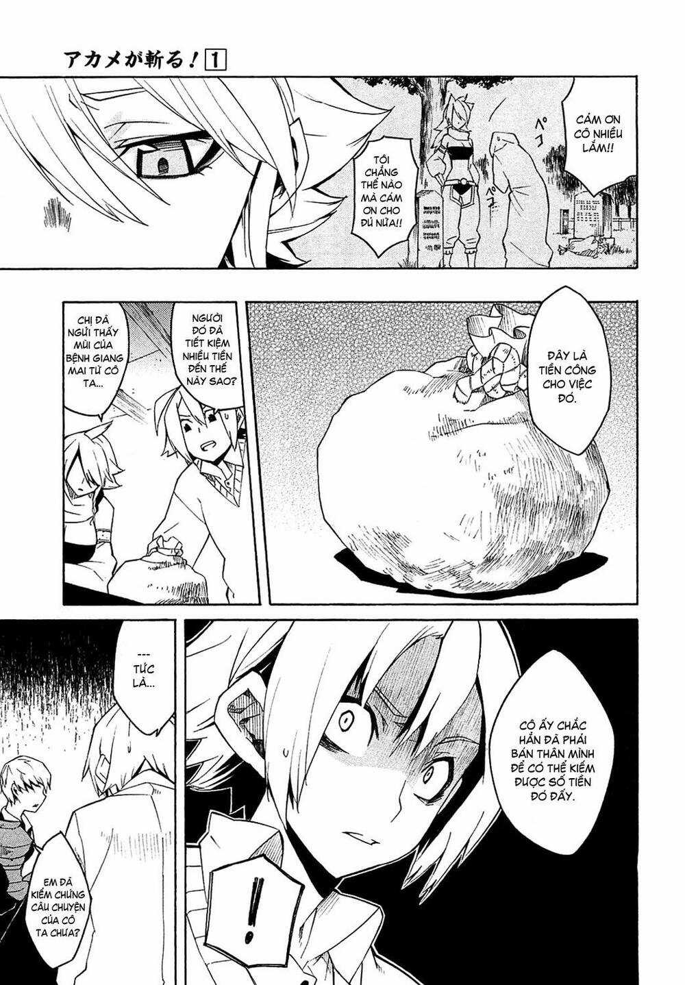 Akame Ga Kiru Chapter 3 trang 14