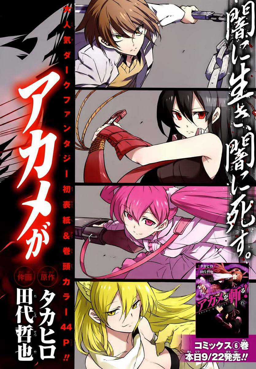 Akame Ga Kiru Chapter 30 trang 2
