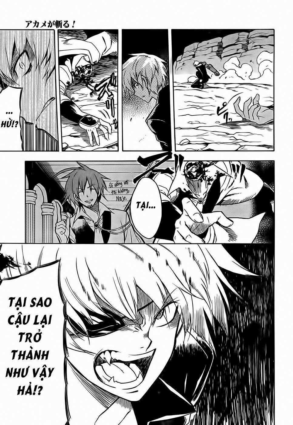 Akame Ga Kiru Chapter 31 trang 17