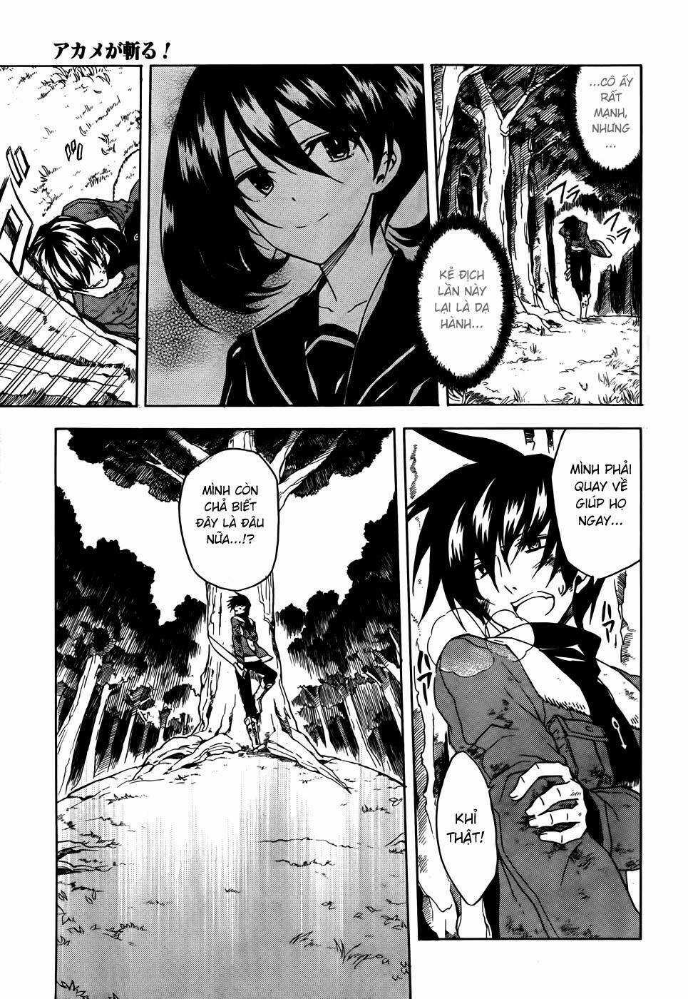 Akame Ga Kiru Chapter 32 trang 14