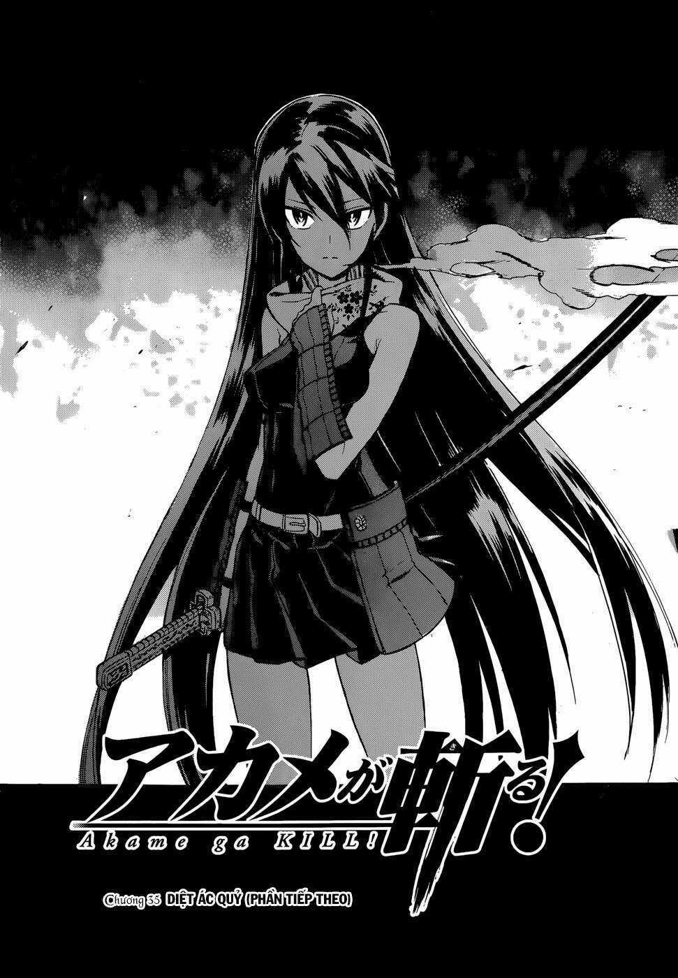 Akame Ga Kiru Chapter 35 trang 3