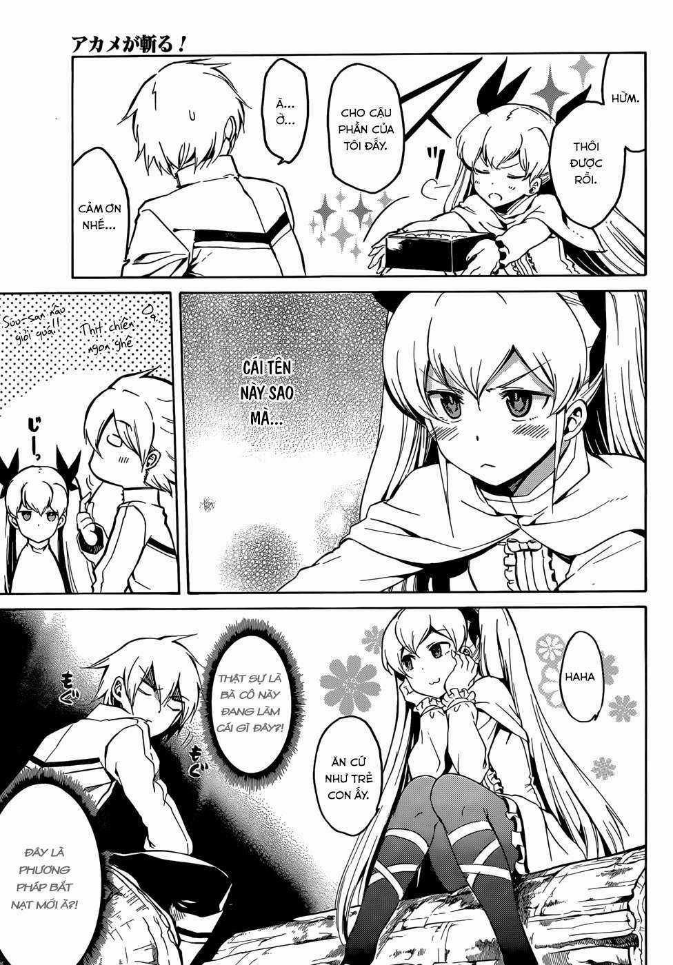 Akame Ga Kiru Chapter 39 trang 15