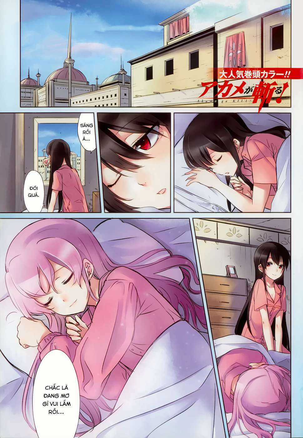 Akame Ga Kiru Chapter 39 trang 2