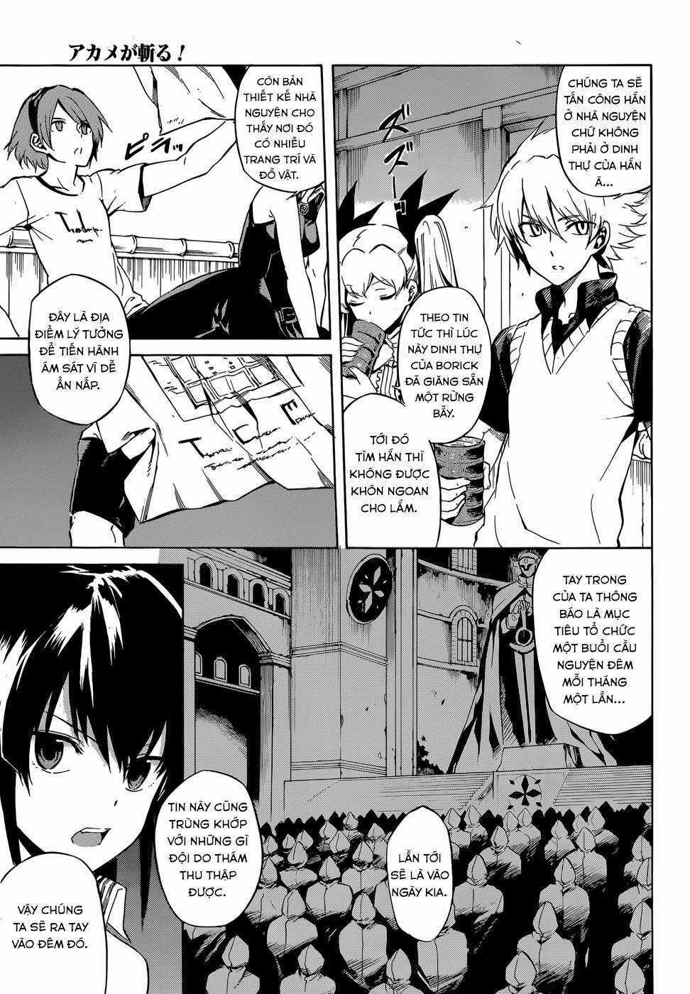 Akame Ga Kiru Chapter 40 trang 13