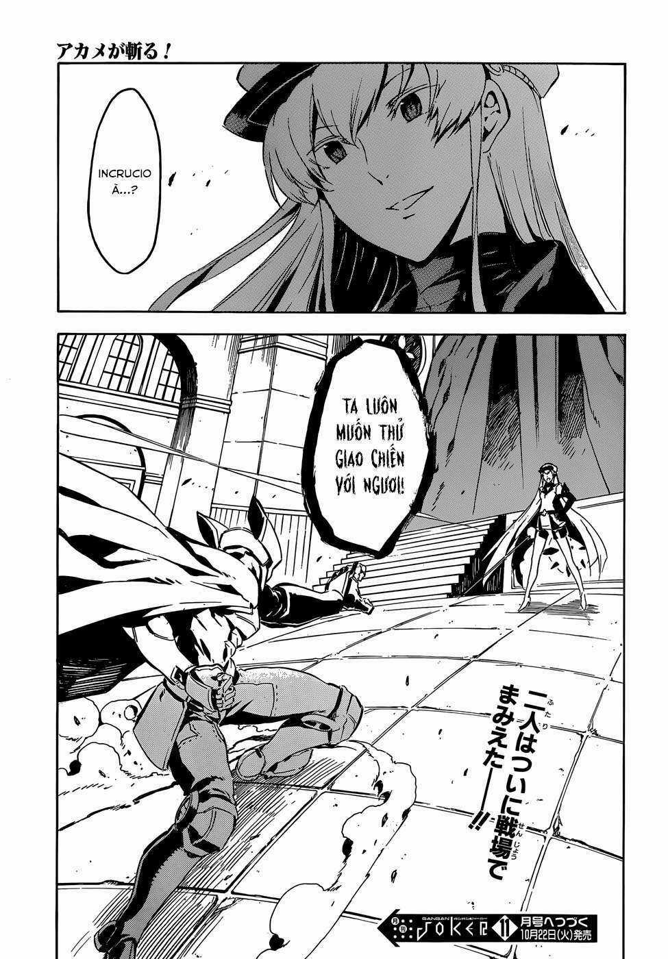 Akame Ga Kiru Chapter 41 trang 44