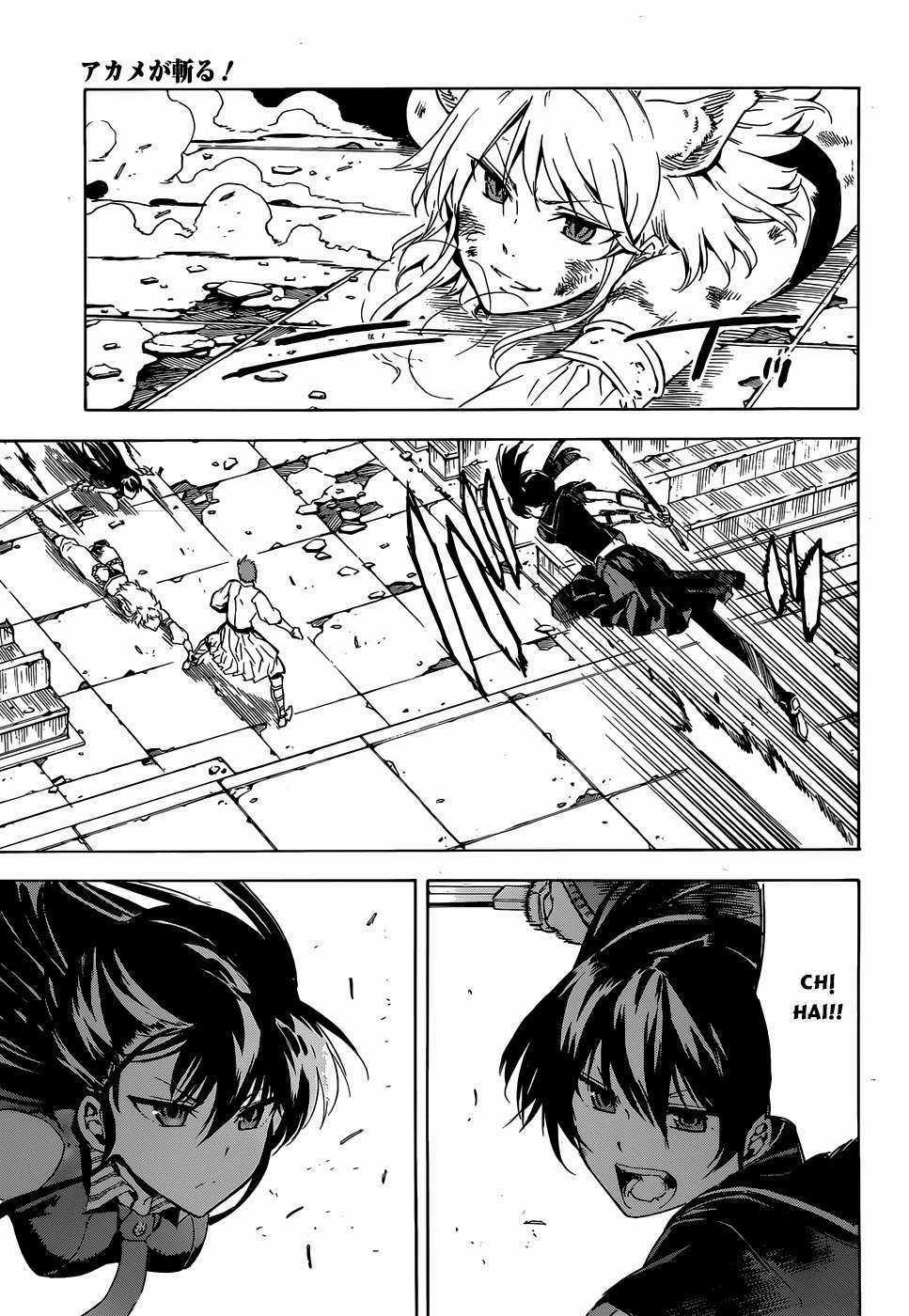Akame Ga Kiru Chapter 43 trang 9