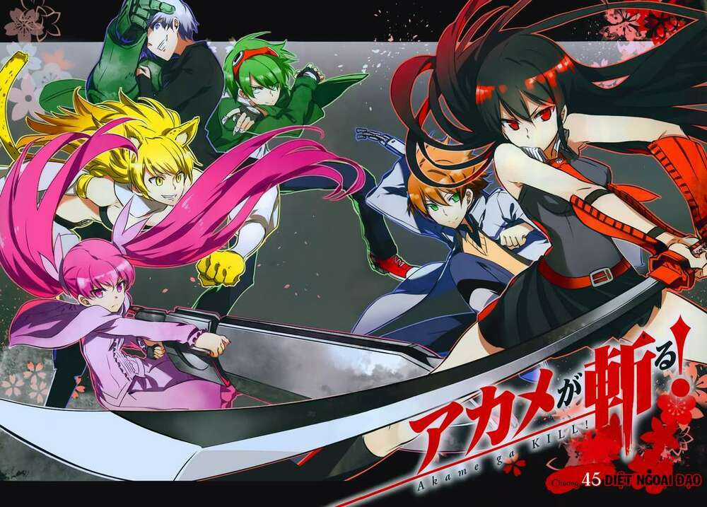Akame Ga Kiru Chapter 45 trang 5
