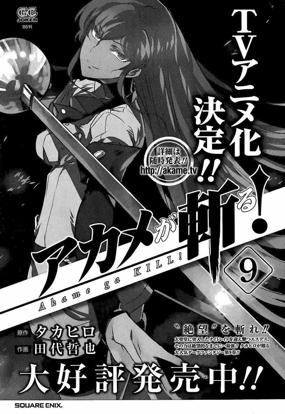 Akame Ga Kiru Chapter 48 trang 53