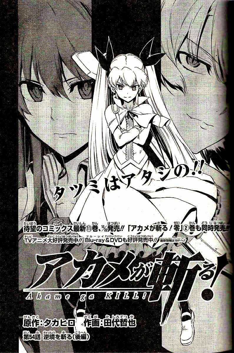 Akame Ga Kiru Chapter 54 trang 4
