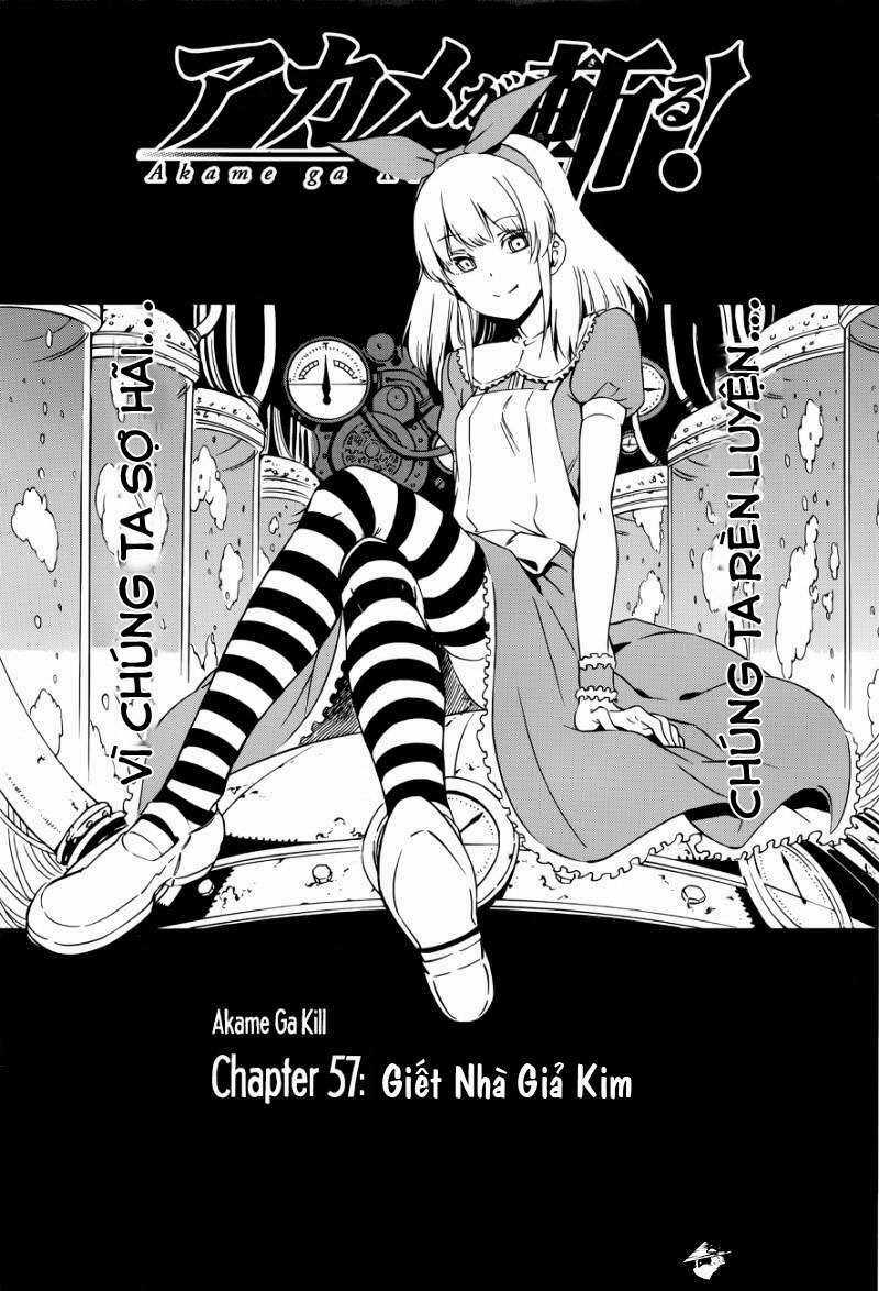 Akame Ga Kiru Chapter 57 trang 2
