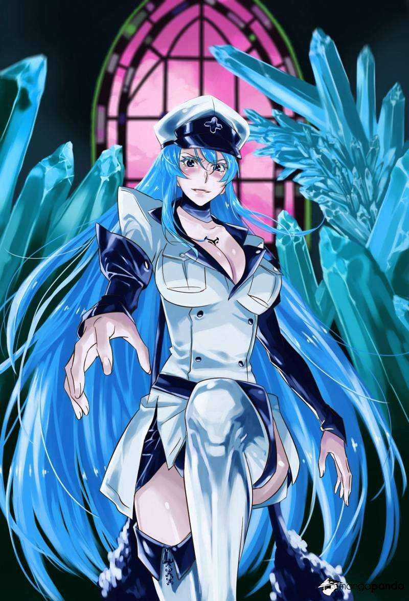 Akame Ga Kiru Chapter 57 trang 41