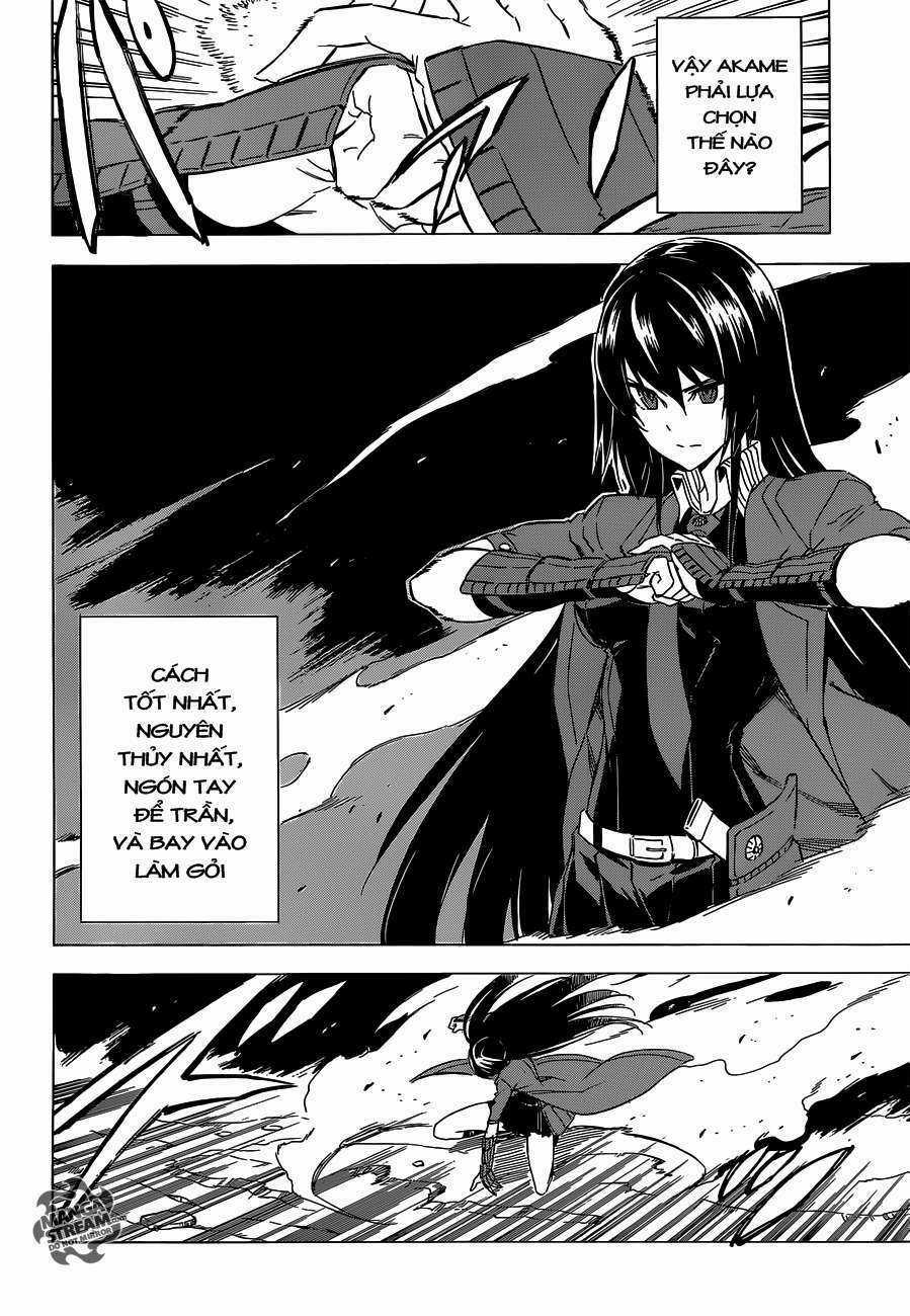 Akame Ga Kiru Chapter 59.2 trang 12