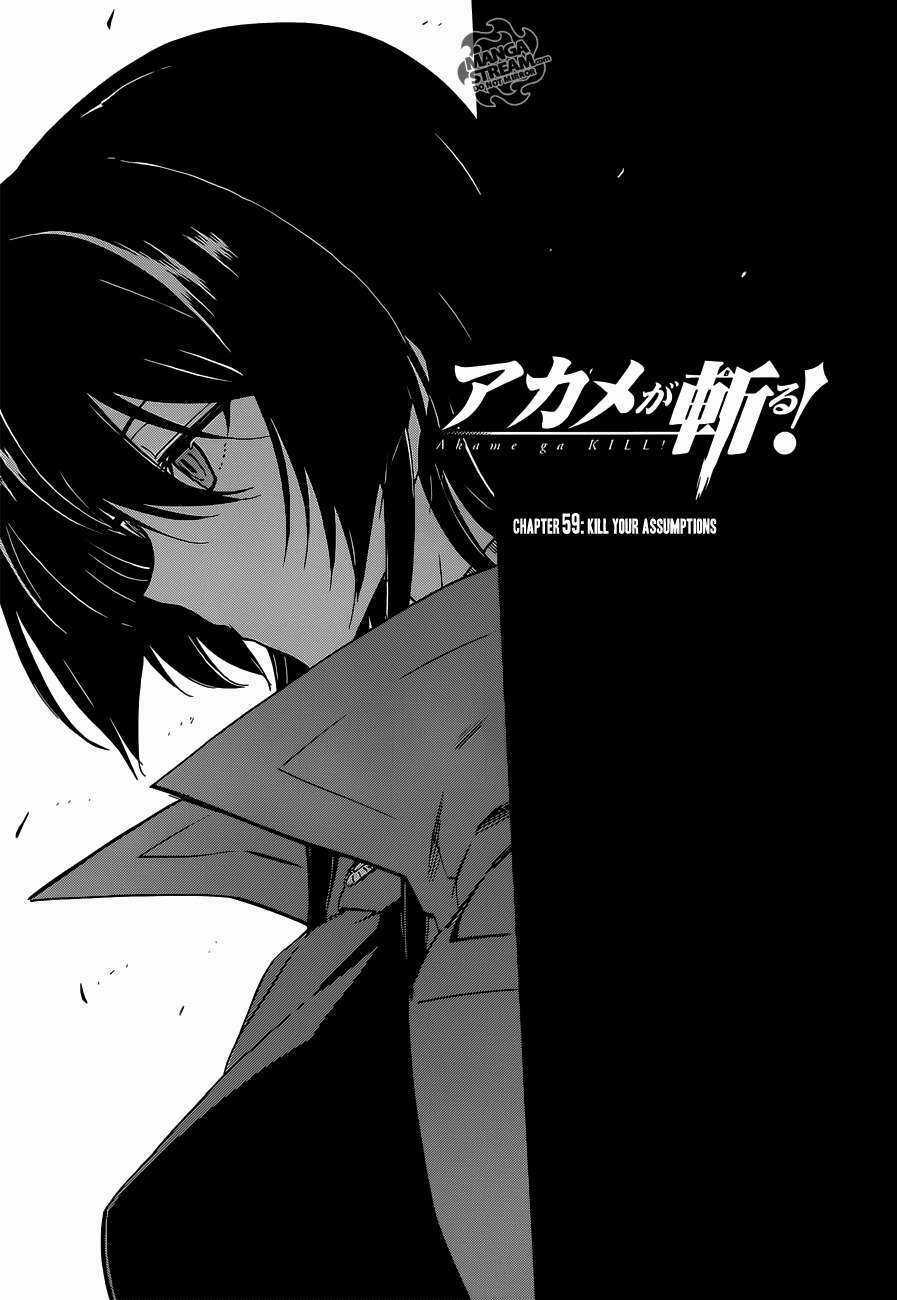 Akame Ga Kiru Chapter 59.2 trang 2