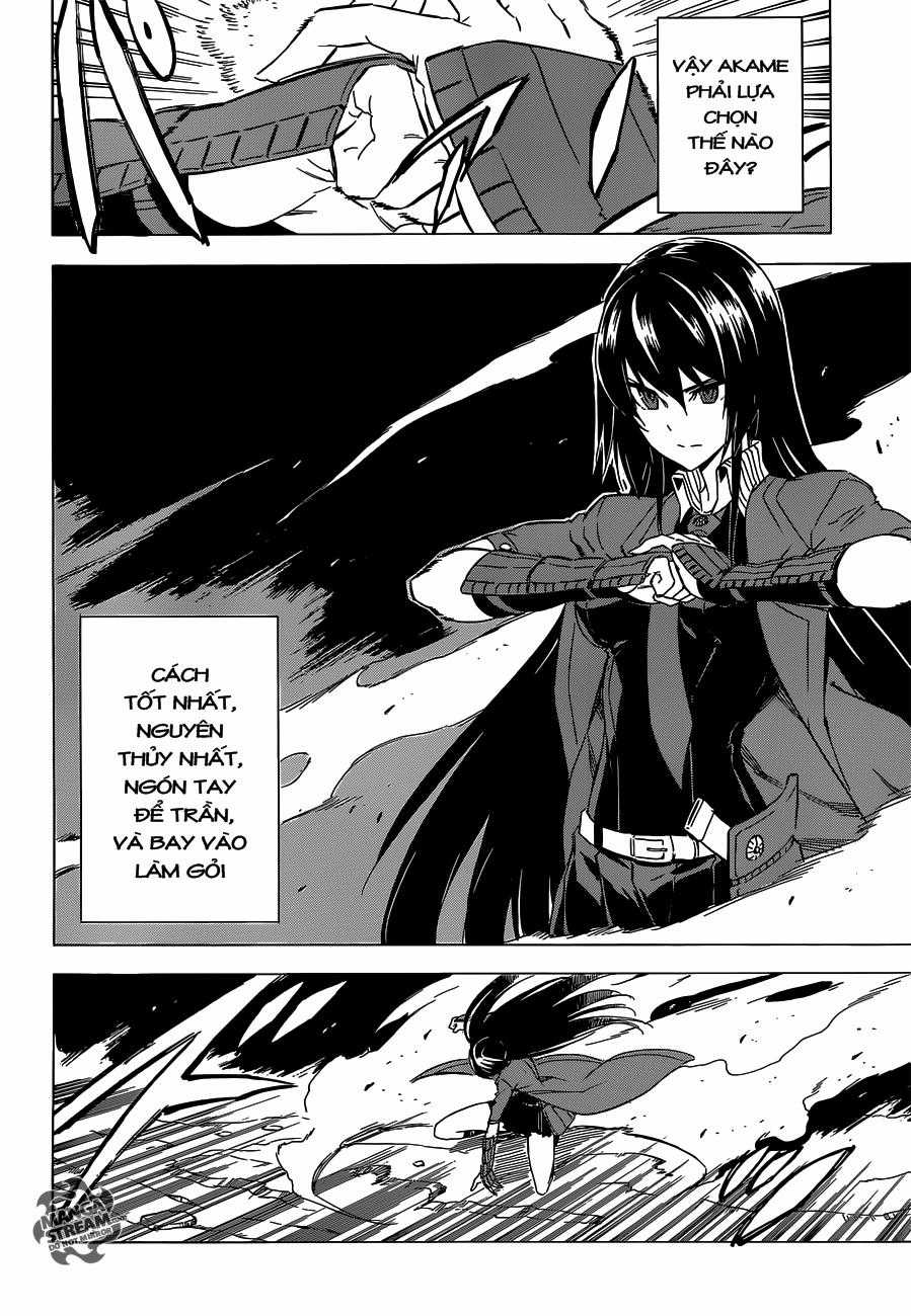 Akame Ga Kiru Chapter 59 trang 13