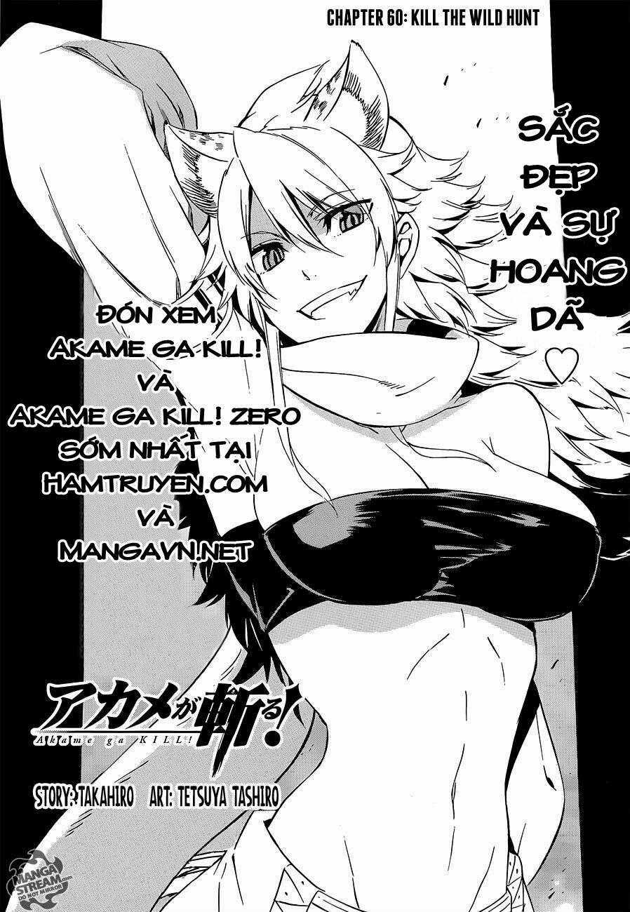 Akame Ga Kiru Chapter 60 trang 2