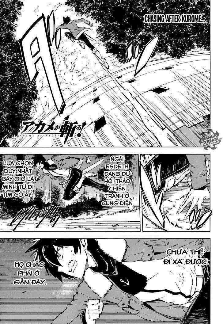 Akame Ga Kiru Chapter 65 trang 2