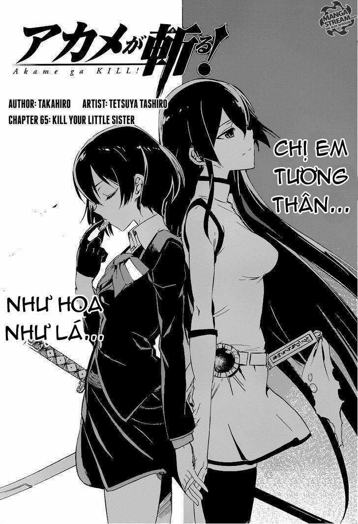 Akame Ga Kiru Chapter 65 trang 4