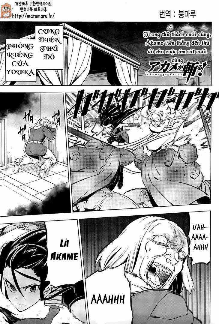 Akame Ga Kiru Chapter 69 trang 2