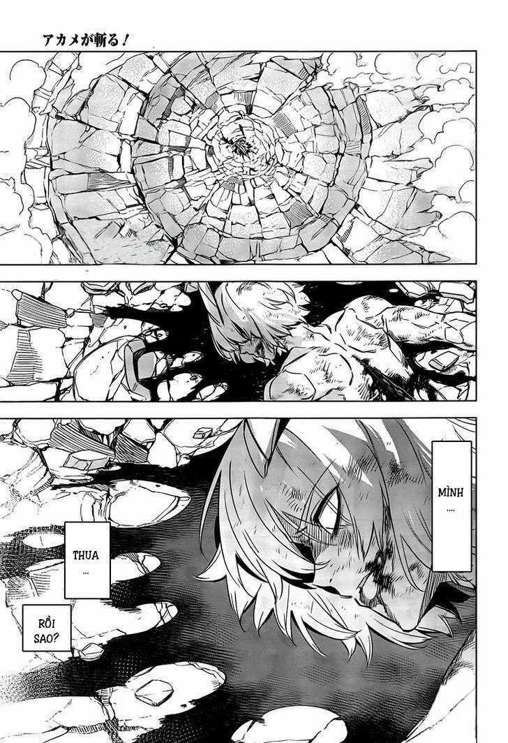 Akame Ga Kiru Chapter 73 trang 13