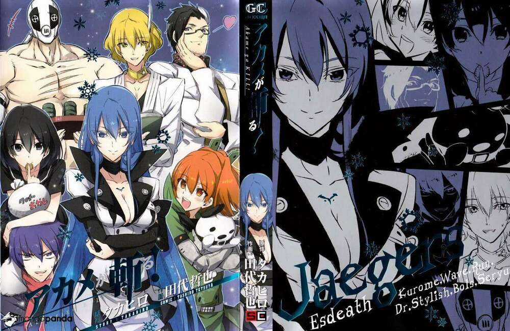 Akame Ga Kiru Chapter 78 trang 2