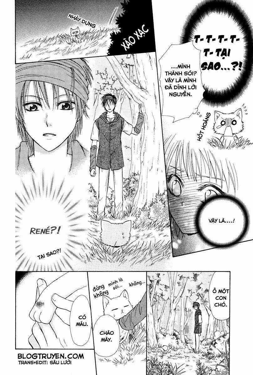 akazukin to, koisuru ookami Chapter 1 trang 19