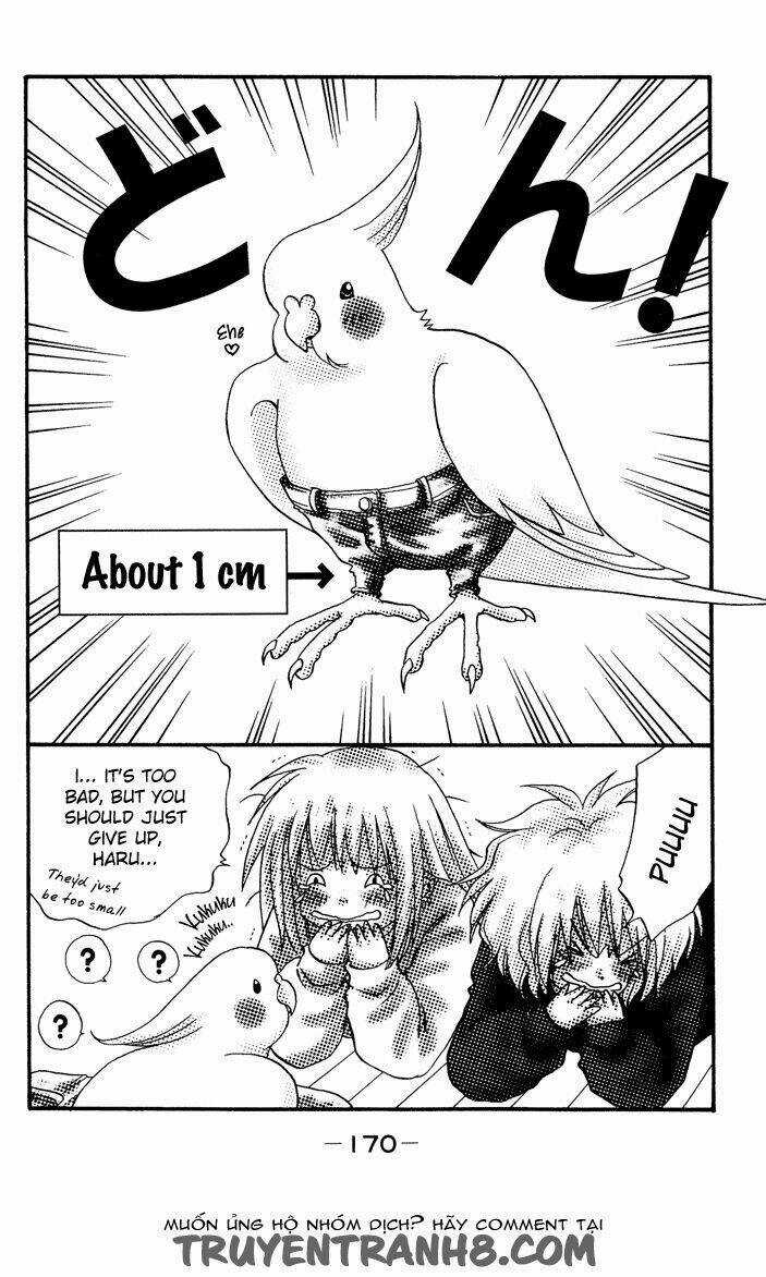 Akkan Baby Chapter 12 trang 48