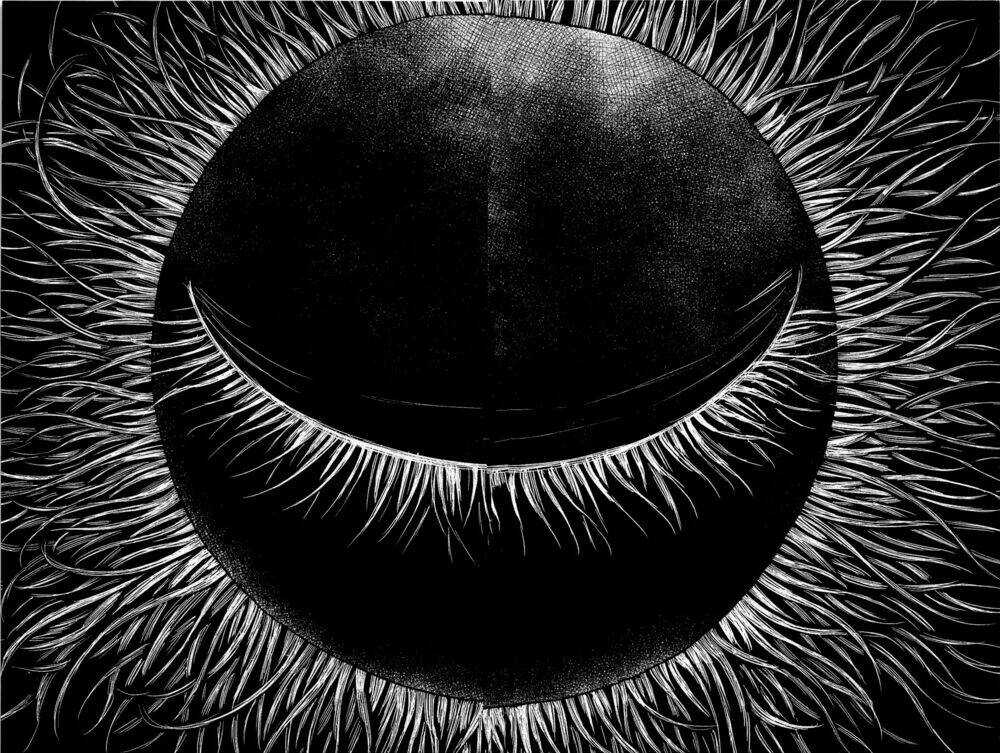 Aku No Hana - Những Bông Hoa Ác Chapter 33 trang 38