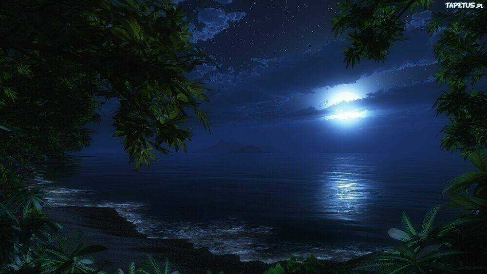 Album Natural Wallpapers Chapter 1 trang 12