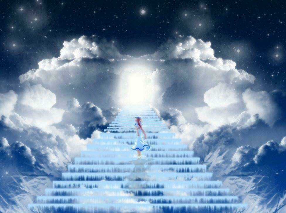 Album Natural Wallpapers Chapter 1 trang 24