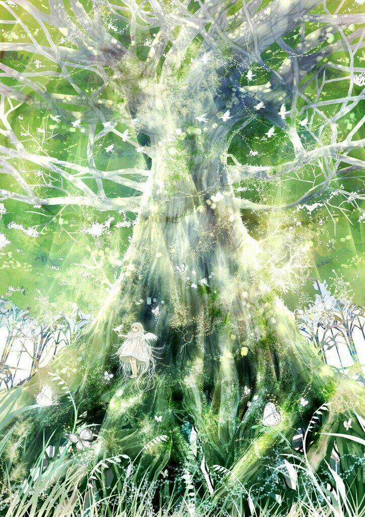 Album Natural Wallpapers Chapter 22 trang 7