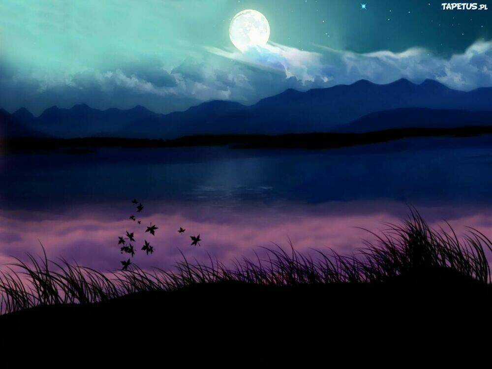 Album Natural Wallpapers Chapter 23 trang 19