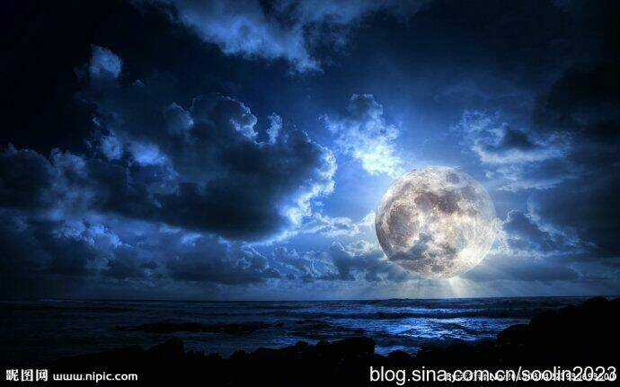 Album Natural Wallpapers Chapter 23 trang 4