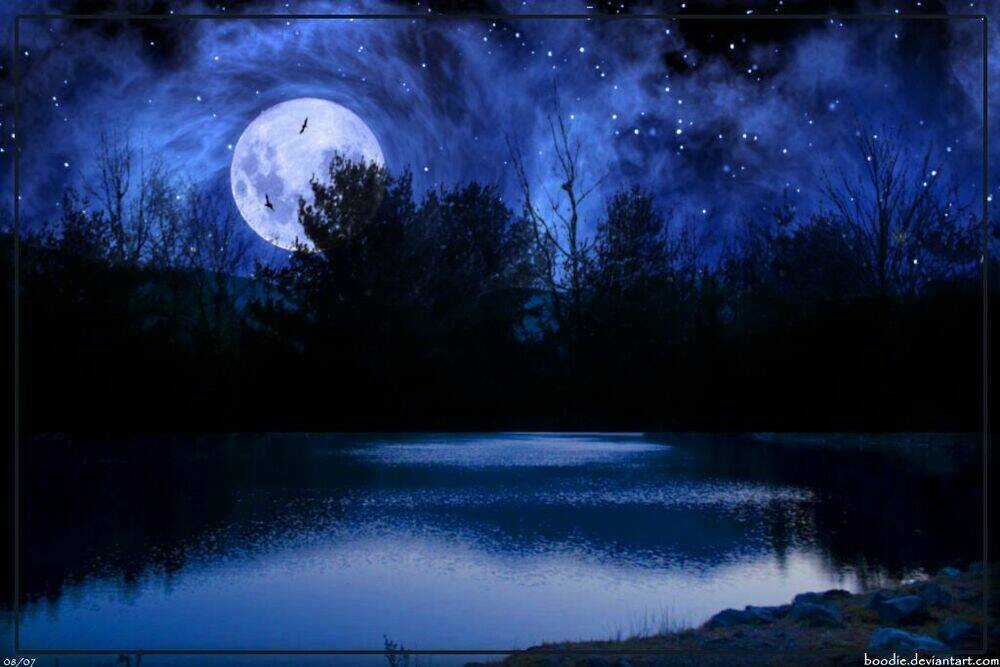 Album Natural Wallpapers Chapter 23 trang 5