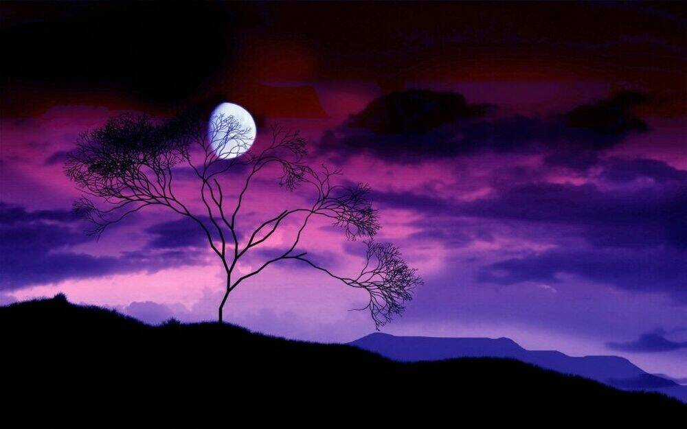 Album Natural Wallpapers Chapter 27 trang 1