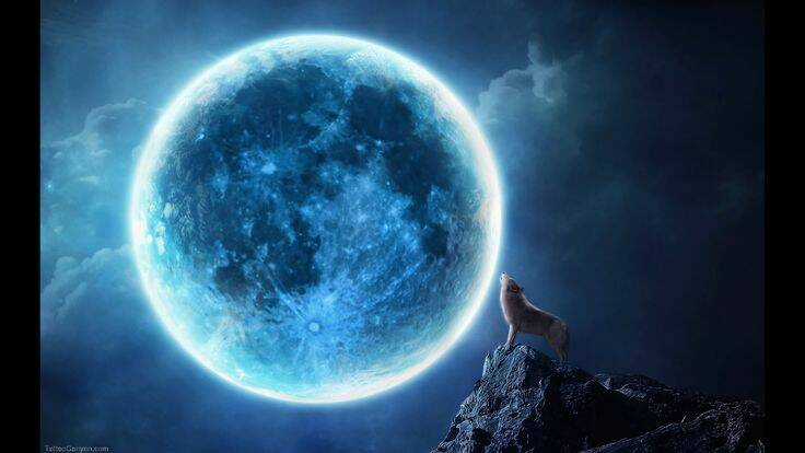 Album Natural Wallpapers Chapter 27 trang 14