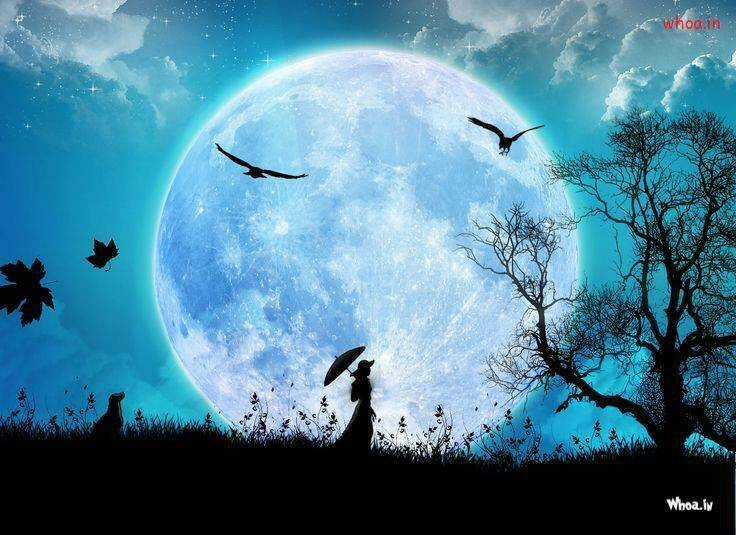 Album Natural Wallpapers Chapter 27 trang 17