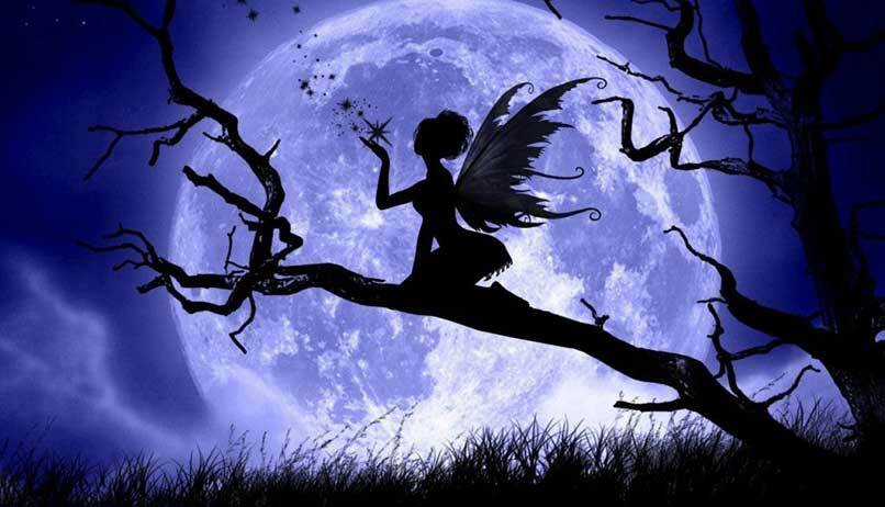 Album Natural Wallpapers Chapter 27 trang 19