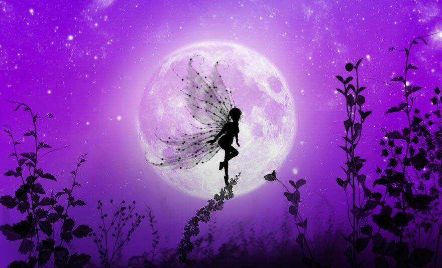 Album Natural Wallpapers Chapter 27 trang 20