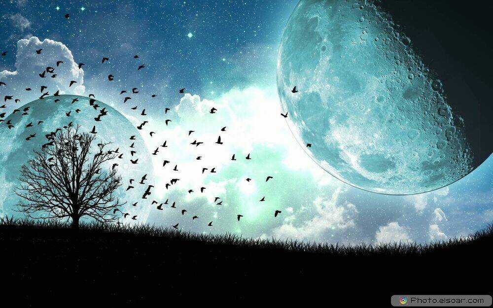 Album Natural Wallpapers Chapter 27 trang 21