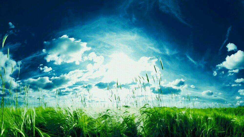 Album Natural Wallpapers Chapter 33 trang 0