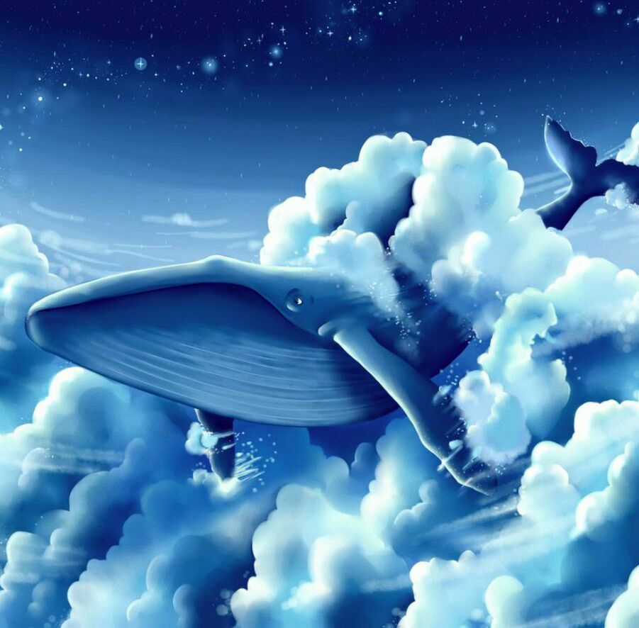 Album Natural Wallpapers Chapter 49 trang 8