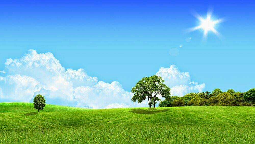 Album Natural Wallpapers Chapter 5 trang 18