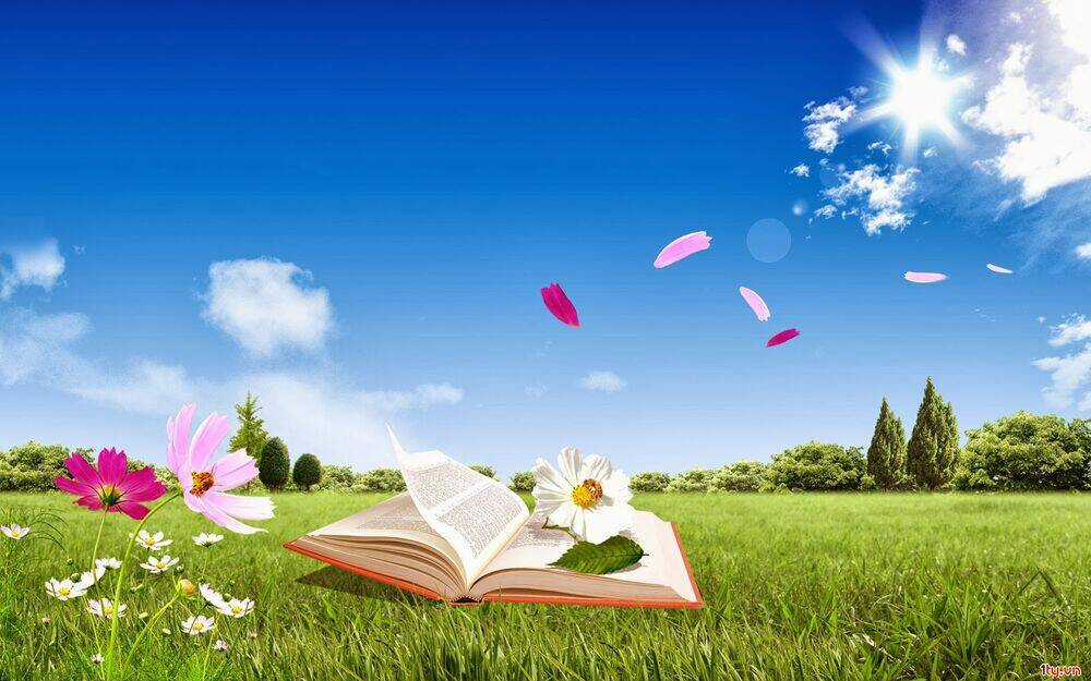 Album Natural Wallpapers Chapter 5 trang 20