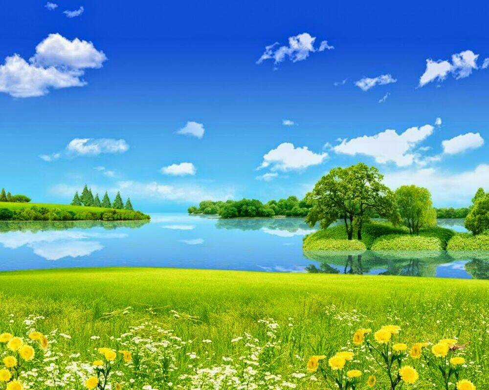 Album Natural Wallpapers Chapter 5 trang 24