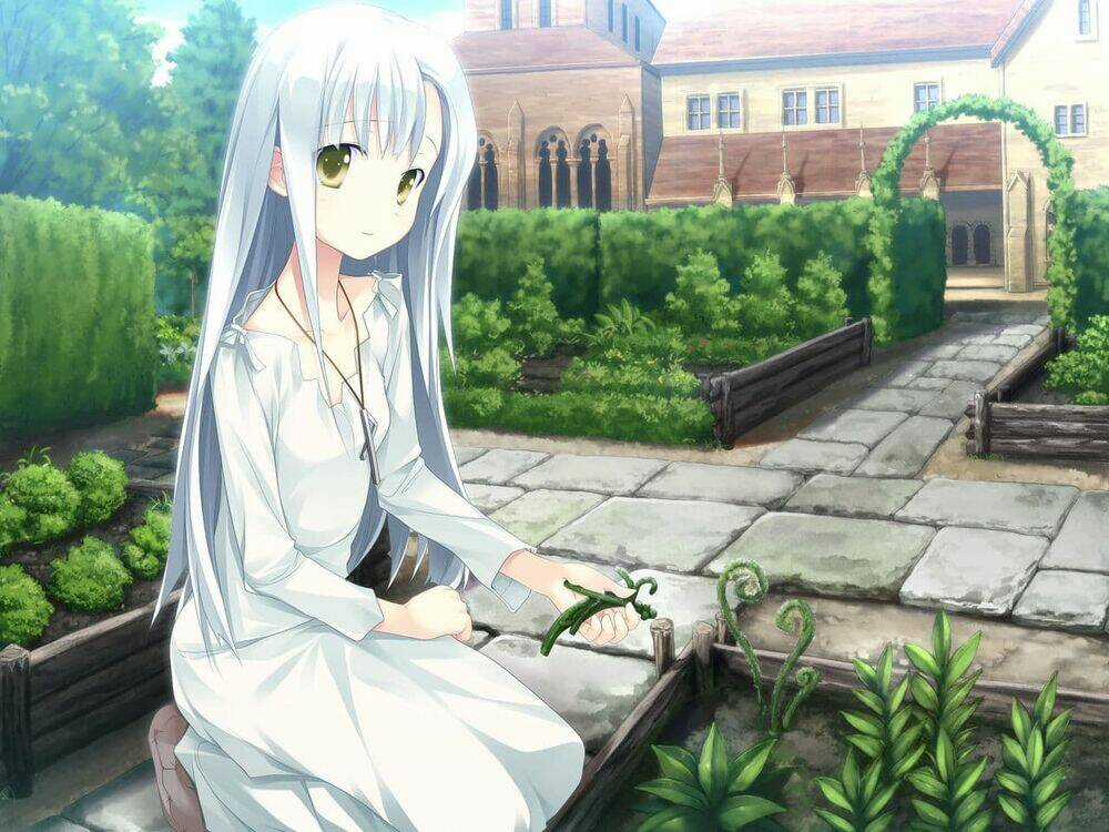 Album Natural Wallpapers Chapter 56 trang 11