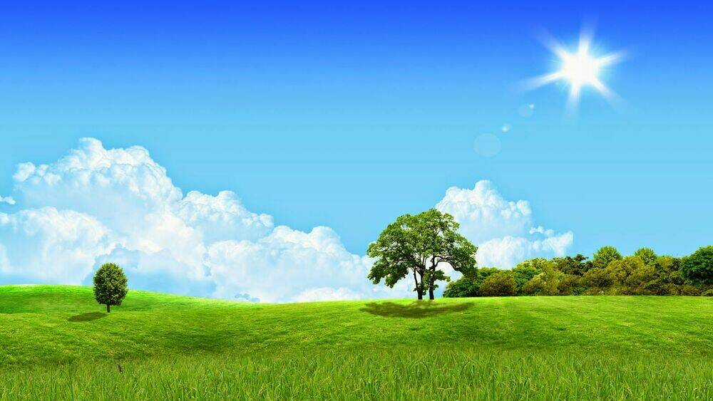 Album Natural Wallpapers Chapter 6 trang 2