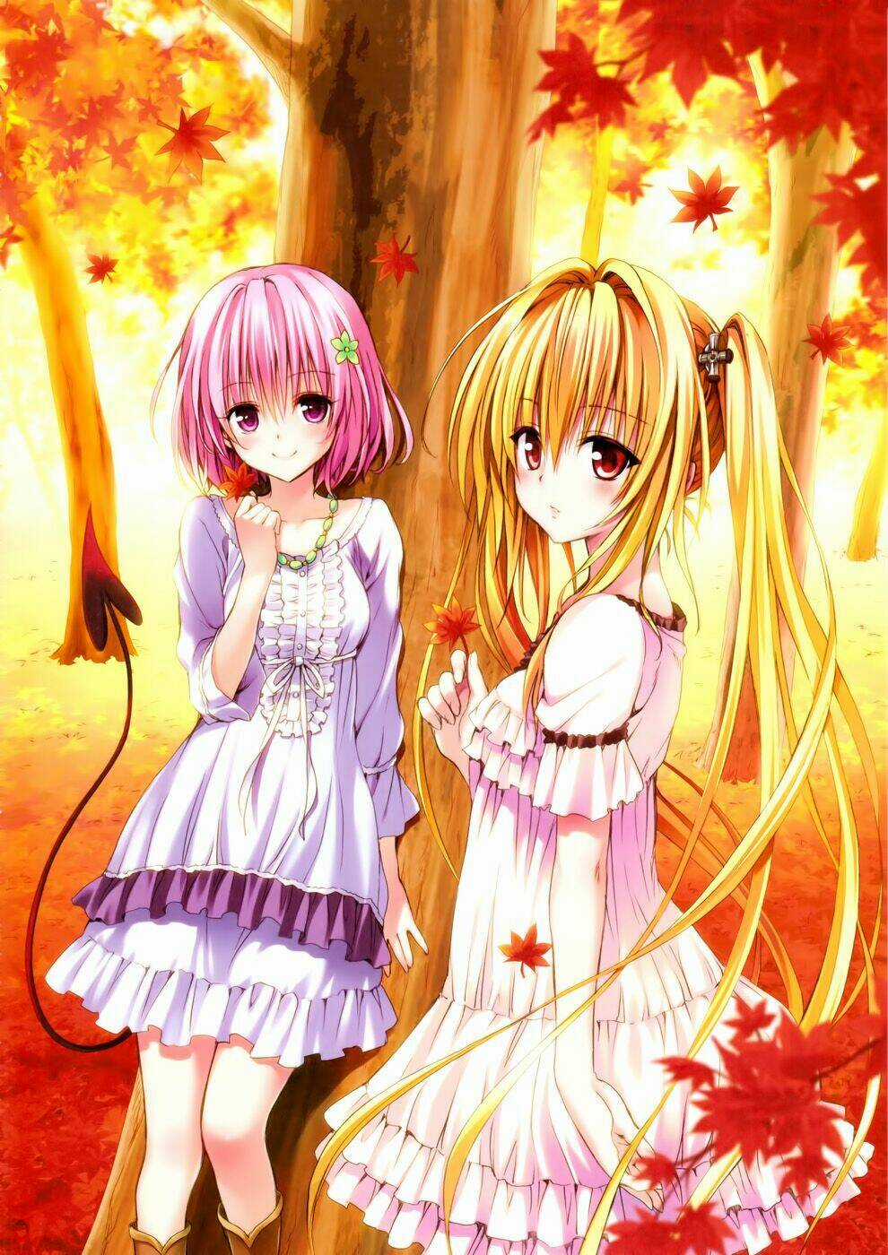 Album Natural Wallpapers Chapter 68 trang 21