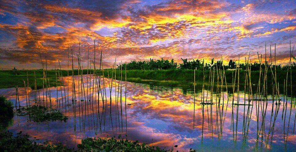 Album Natural Wallpapers Chapter 7 trang 6